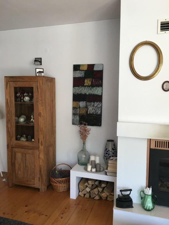 Casa Delia Διαμέρισμα Laslea Εξωτερικό φωτογραφία